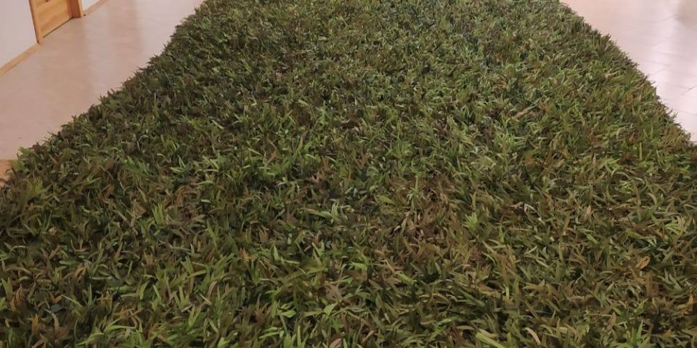 Мастерская «Плетем Победу» храма Торжества Православия в Алтуфьево отправила очередную партию маскировочных сетей и ждет новых помощников