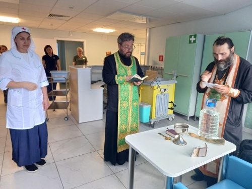 Клирики храмов викариатства посетили отделения неврологии ГКБ №20
