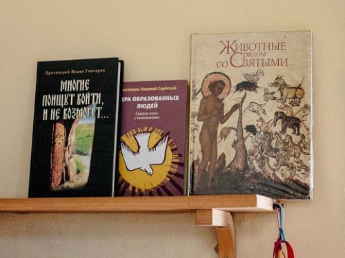 ВЫШЕЛ ФИЛЬМ «ЖИВОТНЫЕ РЯДОМ СО СВЯТЫМИ», СНЯТЫЙ ПО КНИГЕ НАСТОЯТЕЛЯ УСПЕНСКОГО ХРАМА В АРХАНГЕЛЬСКОМ-ТЮРИКОВЕ