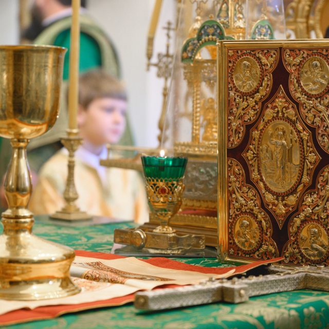 Слово митрополита Звенигородского Арсения, викария Святейшего Патриарха Московского и всея Руси, в день празднования Входа Господня в Иерусалим