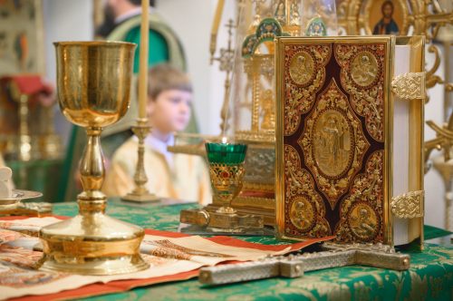 Слово митрополита Звенигородского Арсения, викария Святейшего Патриарха Московского и всея Руси, в день празднования Входа Господня в Иерусалим