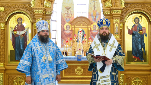 Слово митрополита Звенигородского Арсения, викария Святейшего Патриарха Московского и всея Руси, в Неделю 9-ю по Пятидесятнице