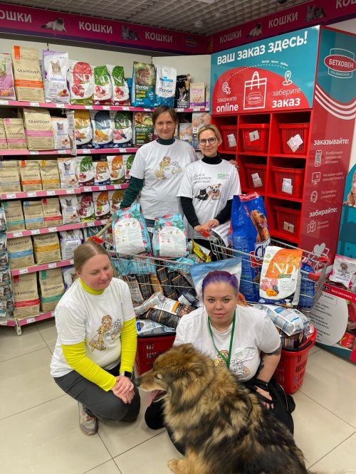 Приход храма святого благоверного князя Димитрия Донского в Раеве развивает эколого-зоозащитное служение