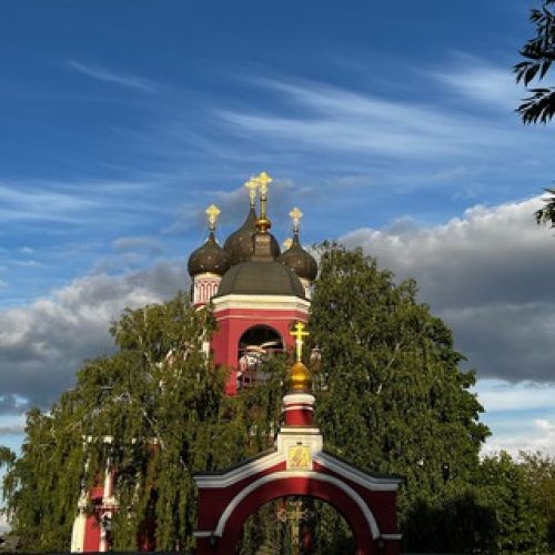 В храме Тихвинской иконы Божией Матери в Алексеевском состоялась онлайн-лекция на тему: «Психологизация общества как путь к нравственной деградации»