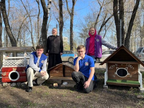 Студенты Политехнического колледжа имени П.А. Овчинникова обновили домики для кошек на территории храма Торжества Православия в Алтуфьево