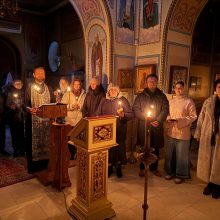 На приходе храма Положения Ризы Пресвятой Богородицы во Влахерне, в Леонове, совершались дополнительные богослужения в рамках социальной и студенческой работы