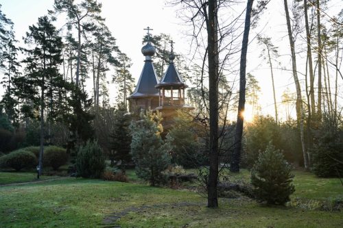 В день памяти апостола Луки Святейший Патриарх Кирилл совершил Литургию в Александро-Невском скиту