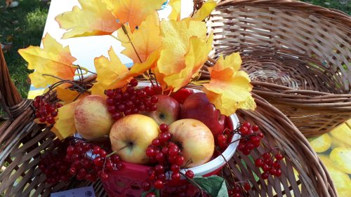 Золотая осень